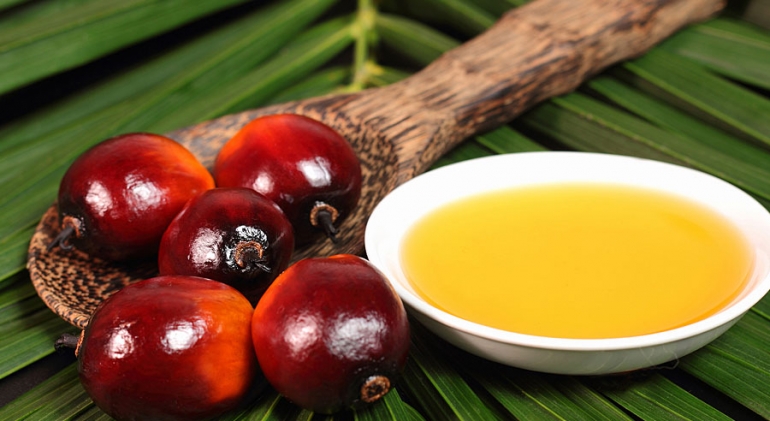 Foto de Conoce las ventajas del aceite de palma frente a otros aceites vegetales