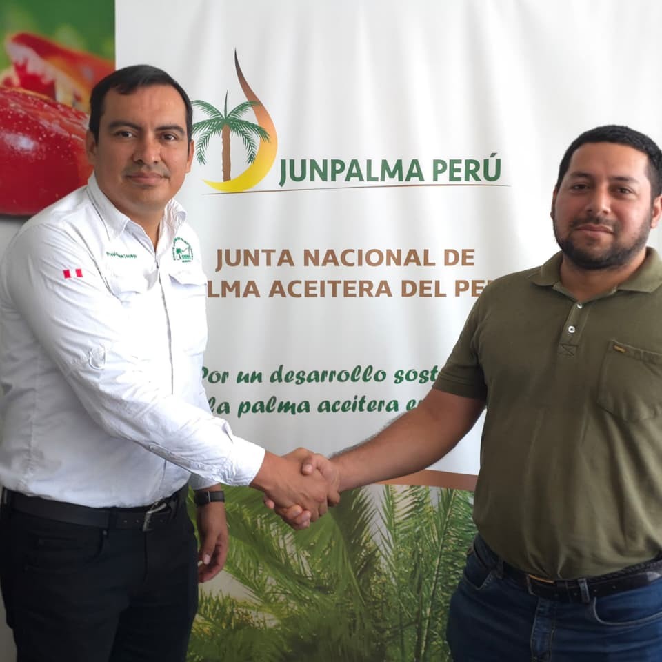 Foto de JUNPALMA PERÚ eligió a su nuevo Consejo Directivo para el periodo 2026 – 2028