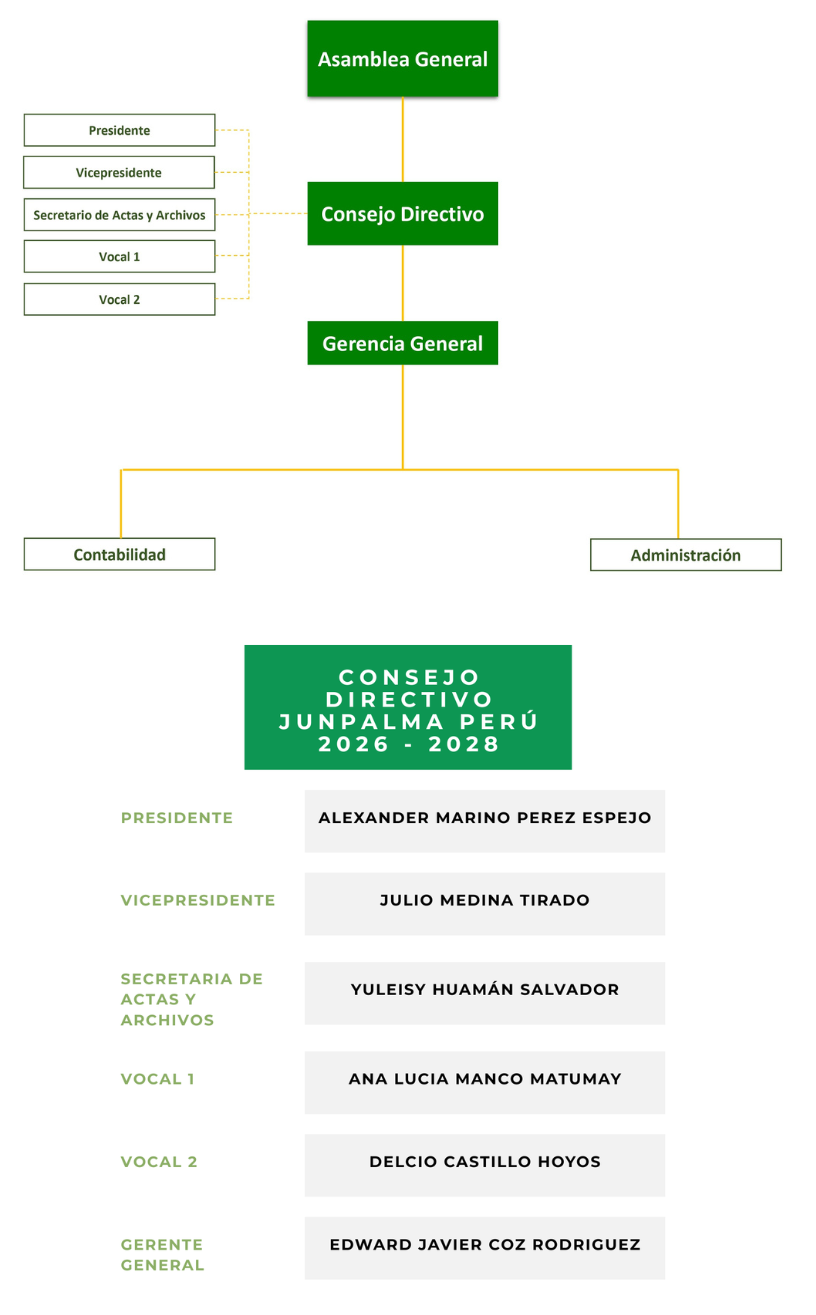 Organigrama JUNPALMA
